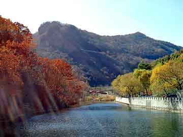 新澳天天开奖资料大全旅游团，穿越小说集锦